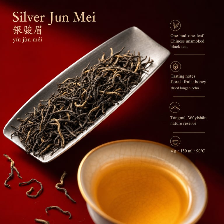 Yín Jùn Méi
